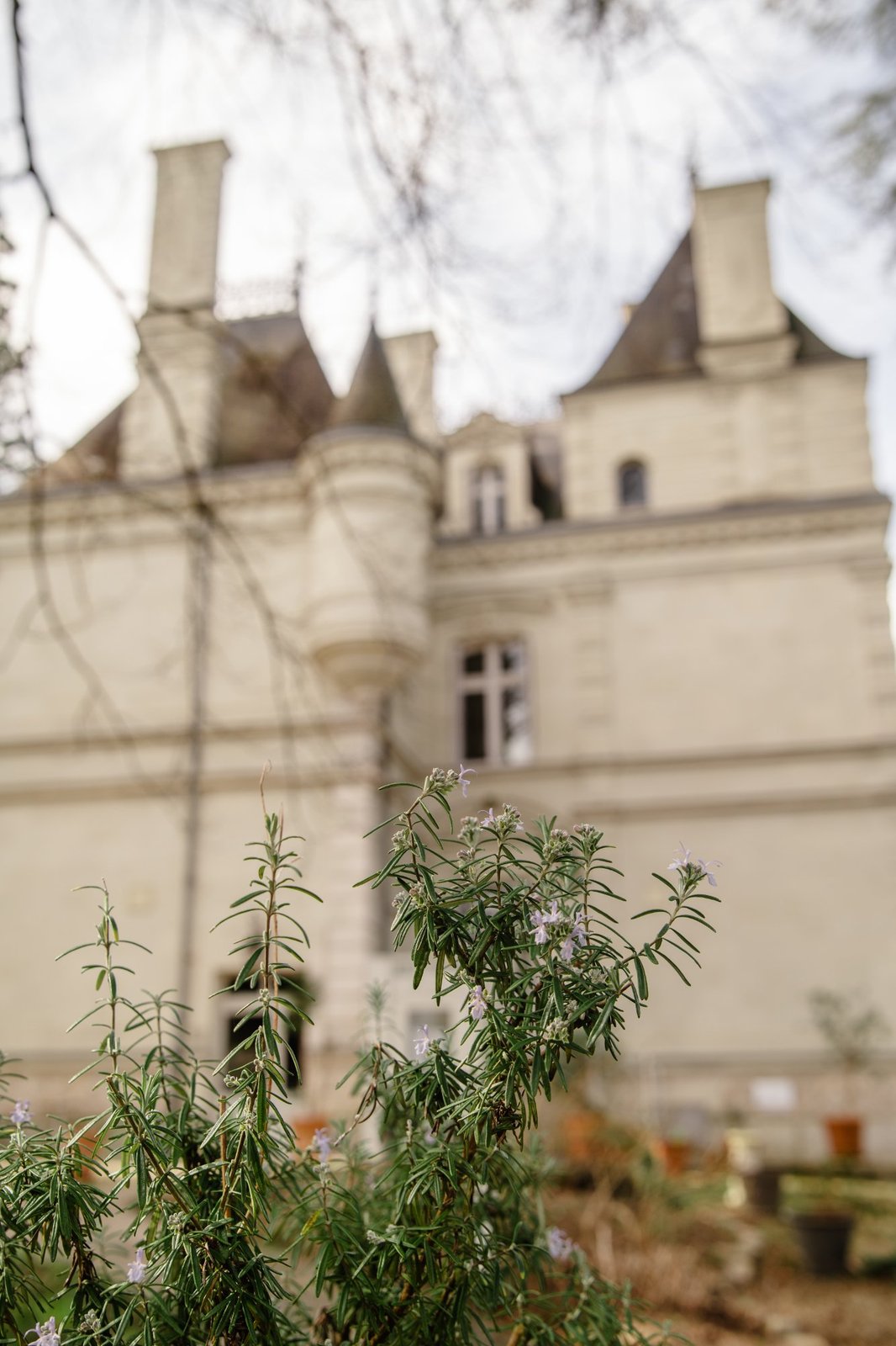 Le cadre du Bistrot du Parc