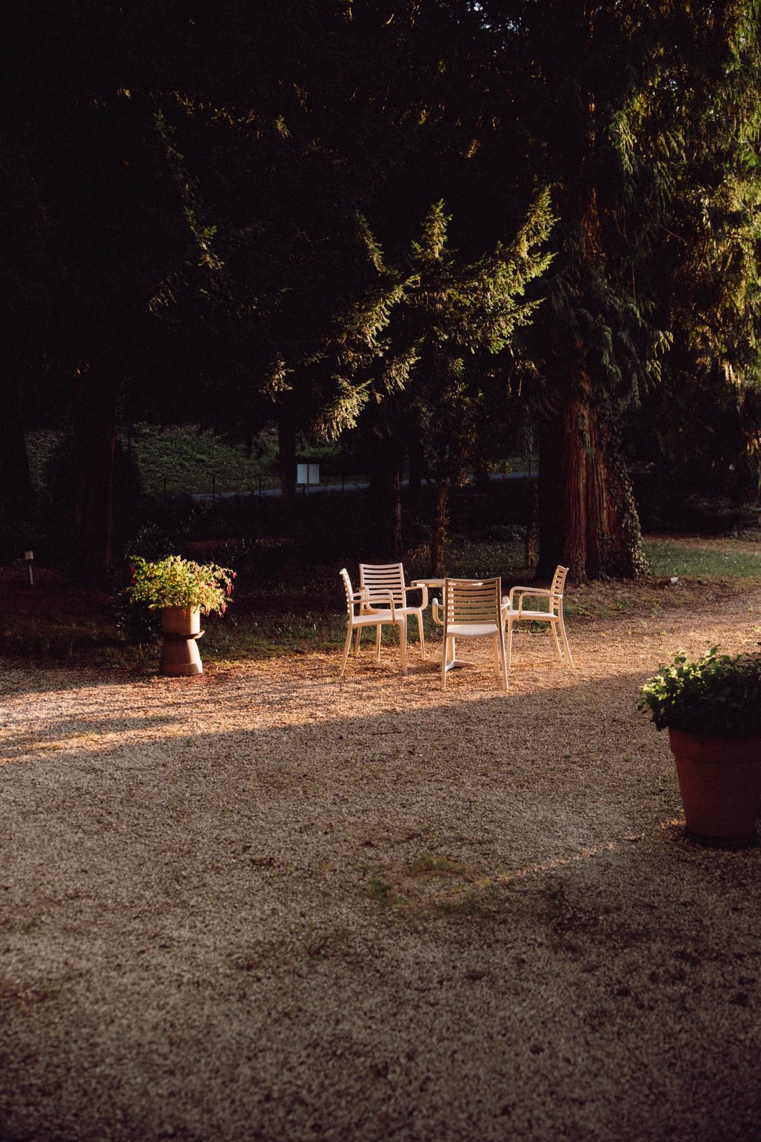 Terrasse du Bistrot du Parc